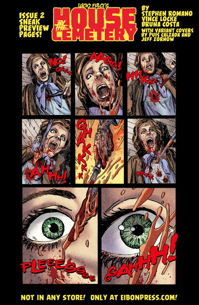 House By The Cemetery Issue #2 Signature Edition - Only 300 Copies!